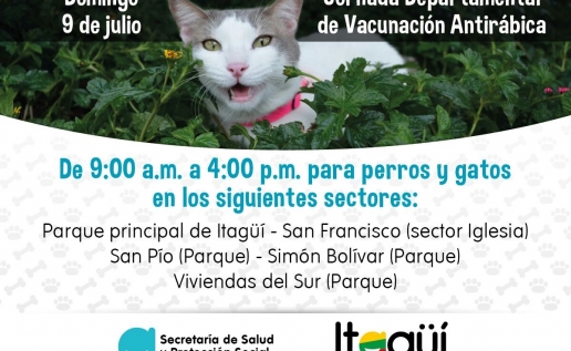 noticia