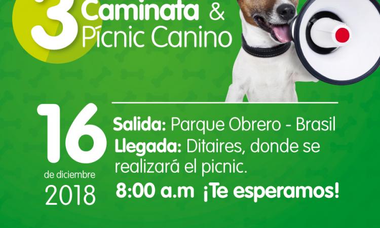 noticia