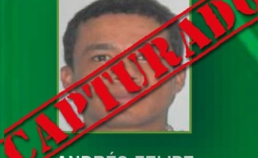 noticia
