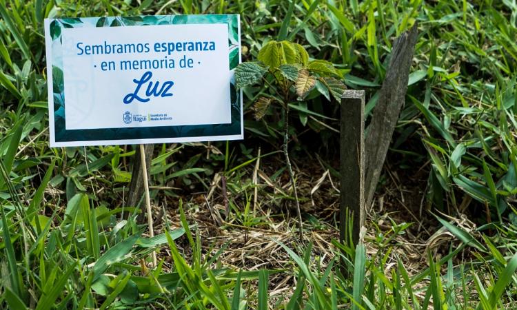 noticia
